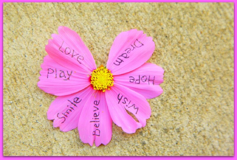 Pink Flower on Sand — Calm