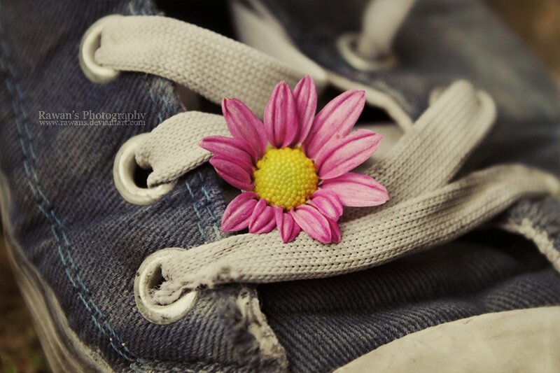 Pink Flower on Sneaker