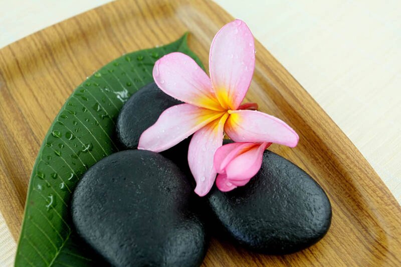 Pink Flower on Stones — Black