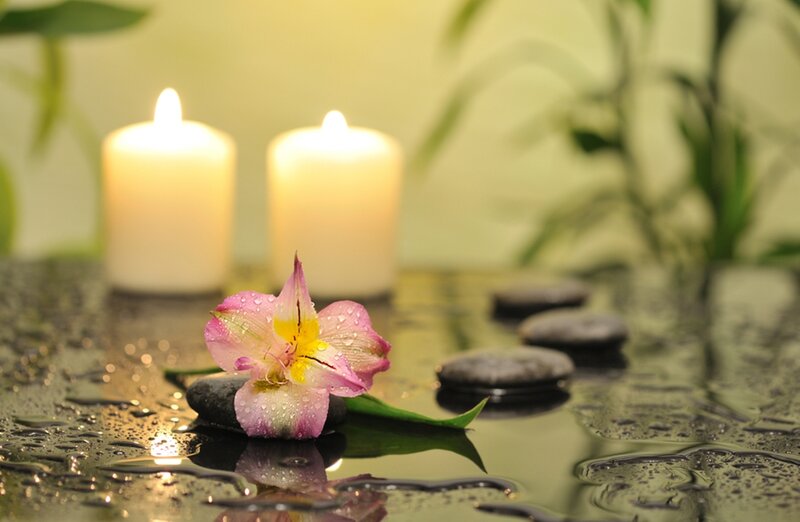 Pink Flower on Wet Stones — Green