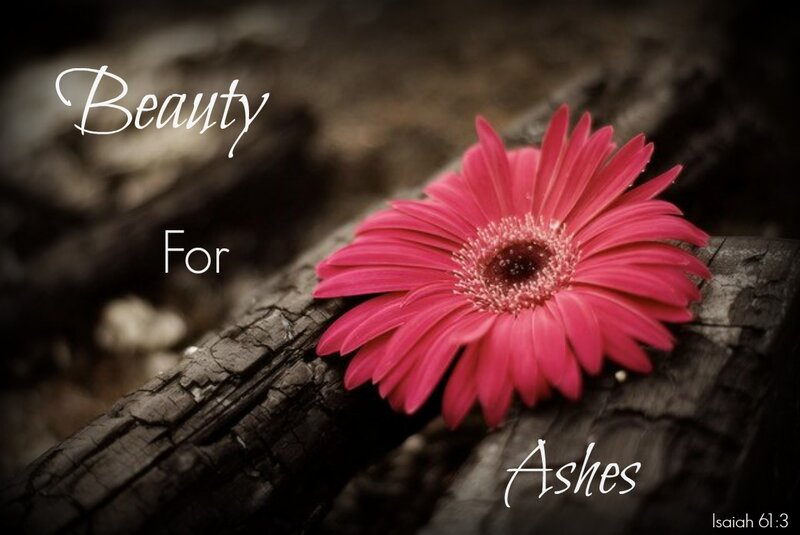 Pink Flower on Wood — Dramatic