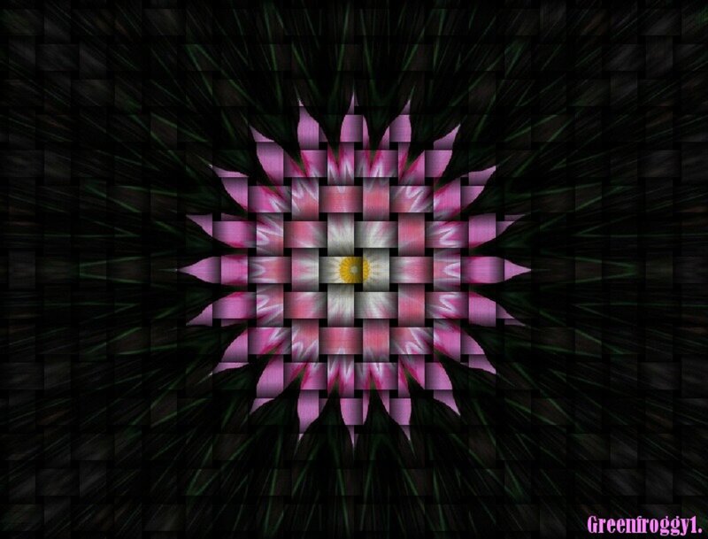 Pink Flower Pattern