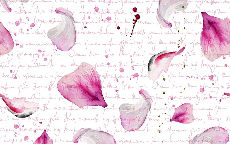 Pink Flower Petals — Calm, Illustration
