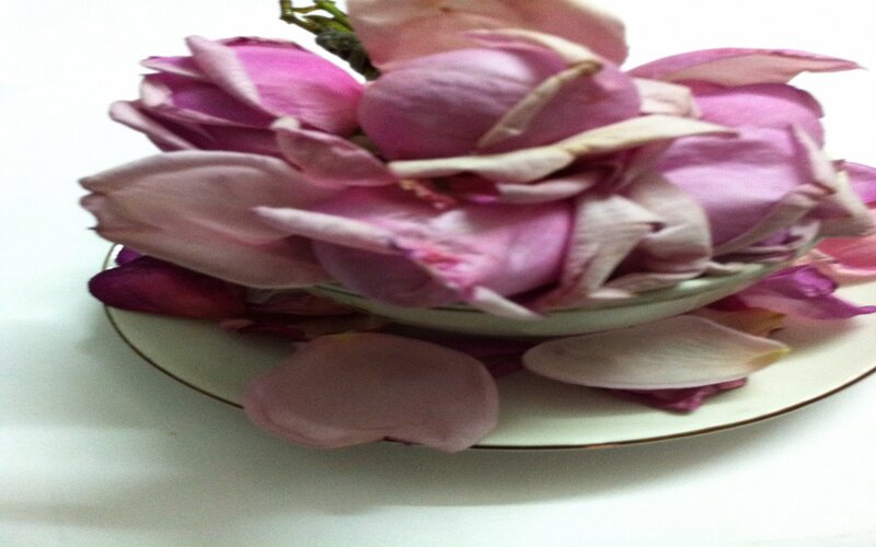 Pink Flower Petals — Calm, Photograph, Plate