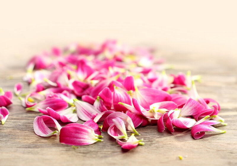 Pink Flower Petals — Calm, Photograph