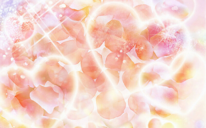 Pink Flower Petals — Dreamy