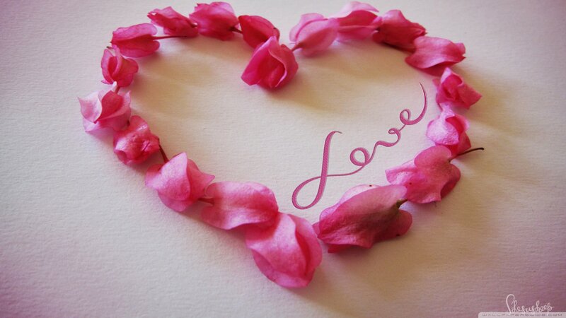 Pink Flower Petals in Heart