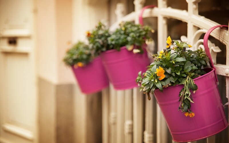 Pink Flower Pots