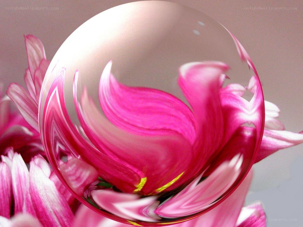 Pink flower through a glass sphere
