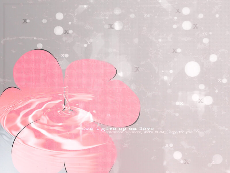 pink flower water ripple