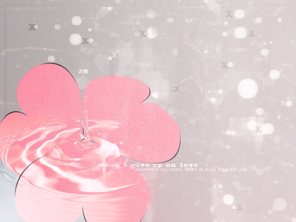 pink flower water ripple