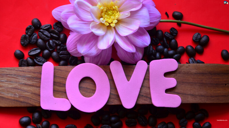 Pink Flower with Coffee Beans