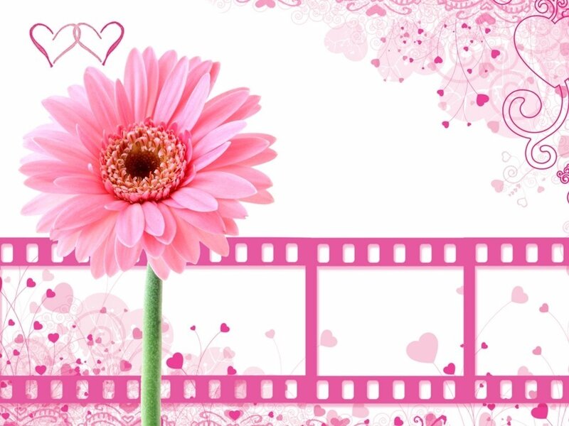 pink flower with film strip