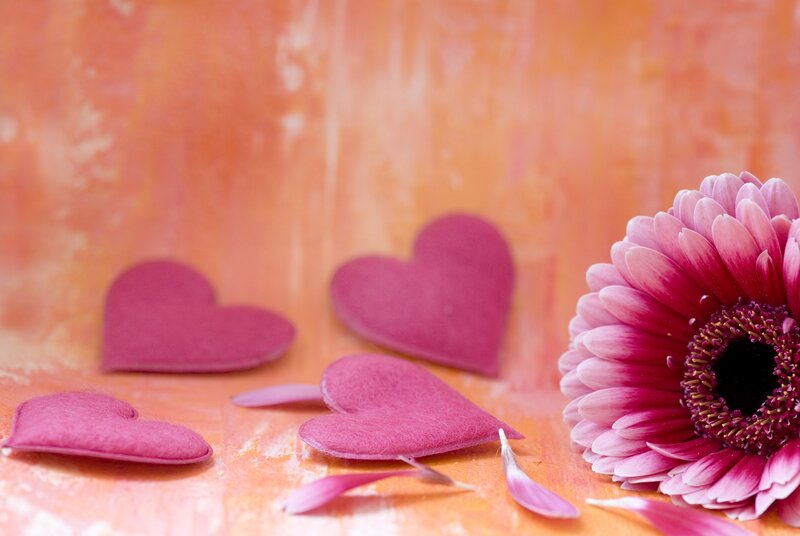 Pink Flower with Hearts — Calm, Photograph