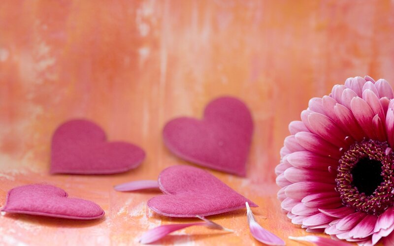 Pink Flower with Hearts — Calm