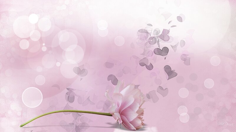 Pink Flower with Hearts