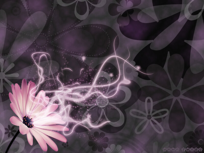 Pink Flower with Light Trails