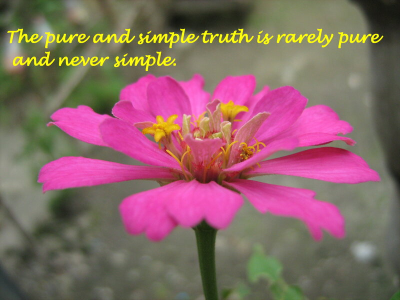 pink flower with quote