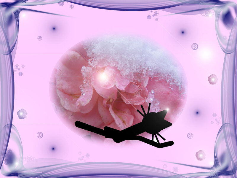 Pink Flower with Snow