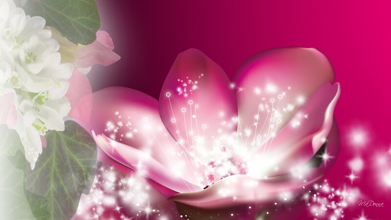 Pink Flower with Sparkles — Dreamy