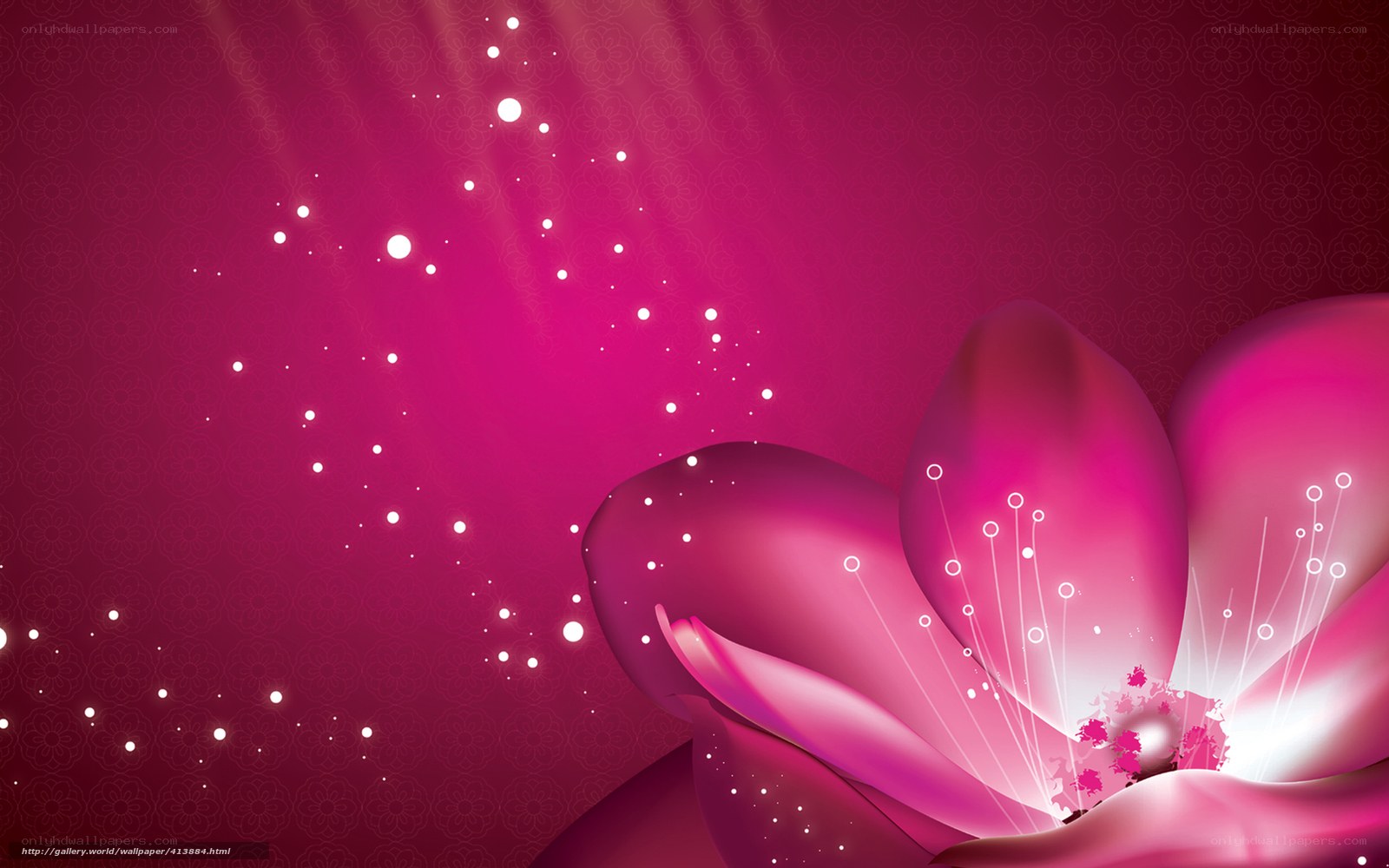 Pink flower with sparkles