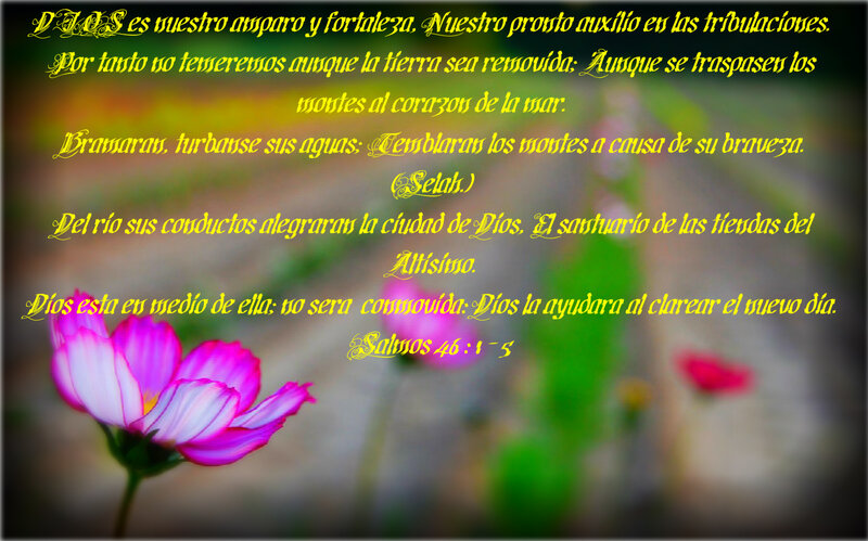 Pink Flower with Text — Serene