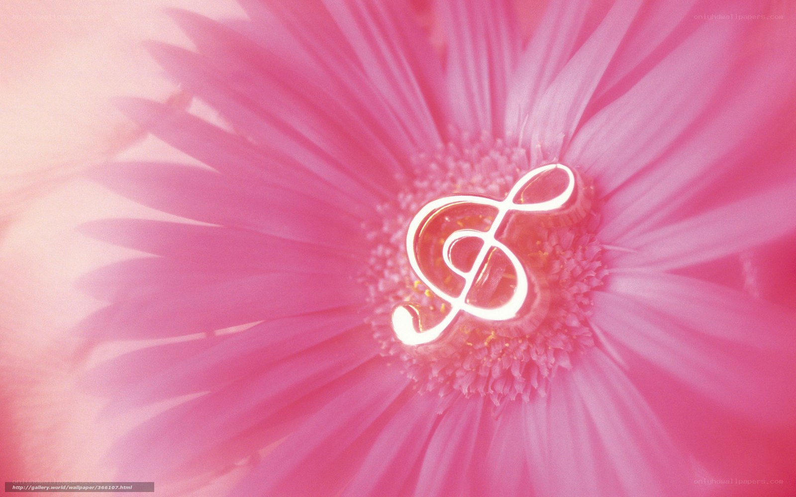 Pink flower with treble clef