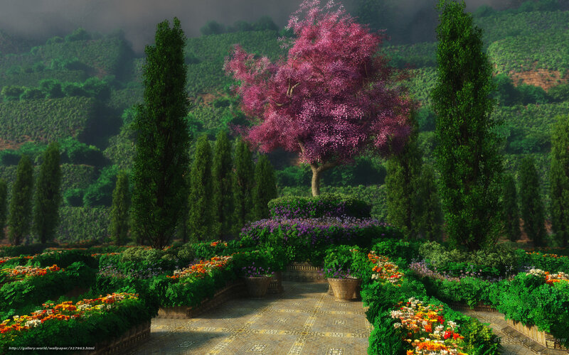 Pink-flowered Tree Garden