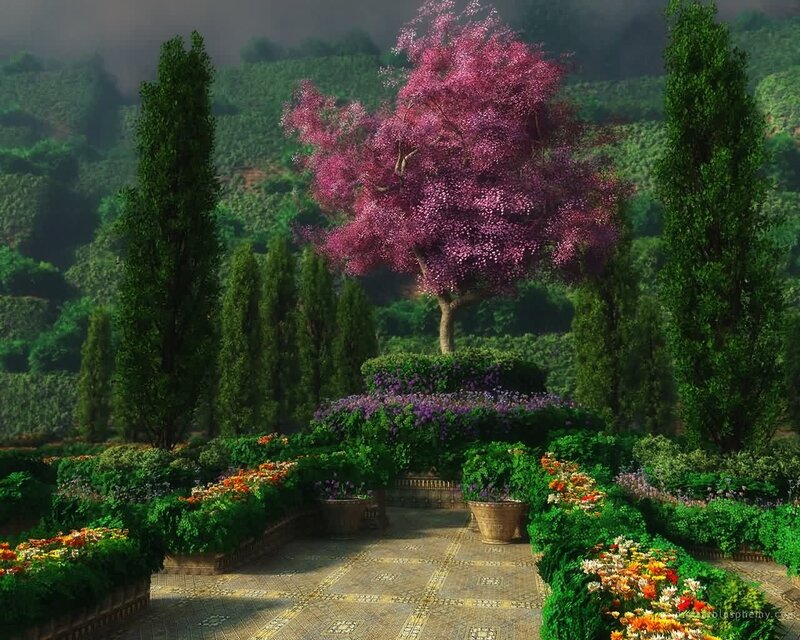 Pink-flowered Tree in Garden — Green, Serene, Afternoon