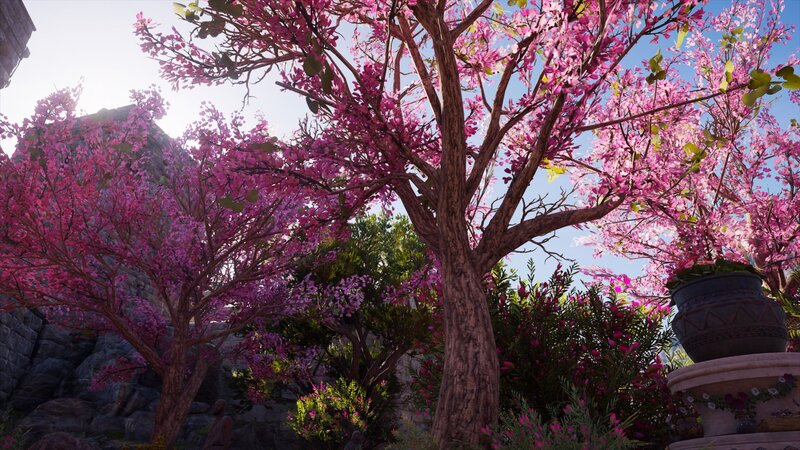 Pink-flowered Trees — Pink, Serene, Spring, 3d Render