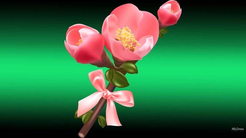 Pink Flowering Branch — Green