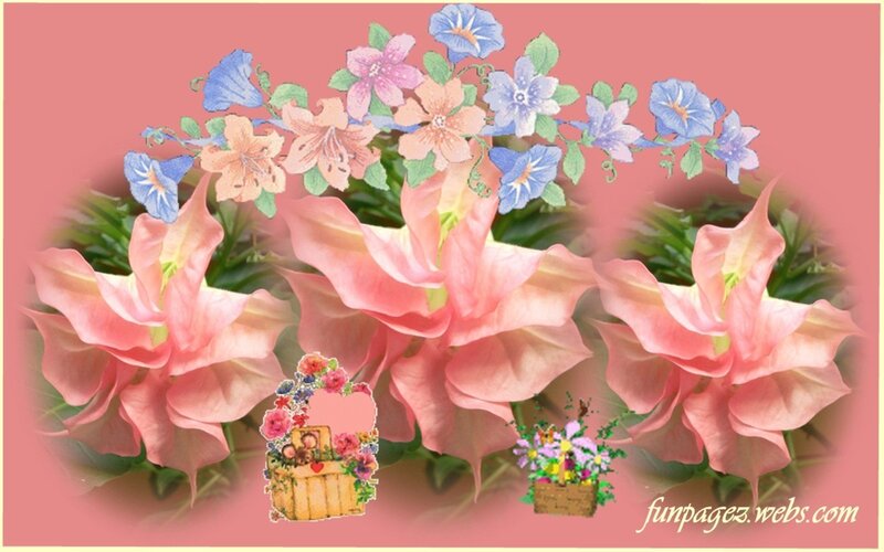 Pink Flowers and Baskets