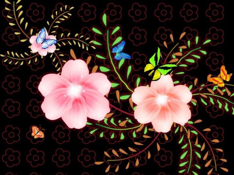 Pink Flowers and Butterflies — Black, Calm, Night
