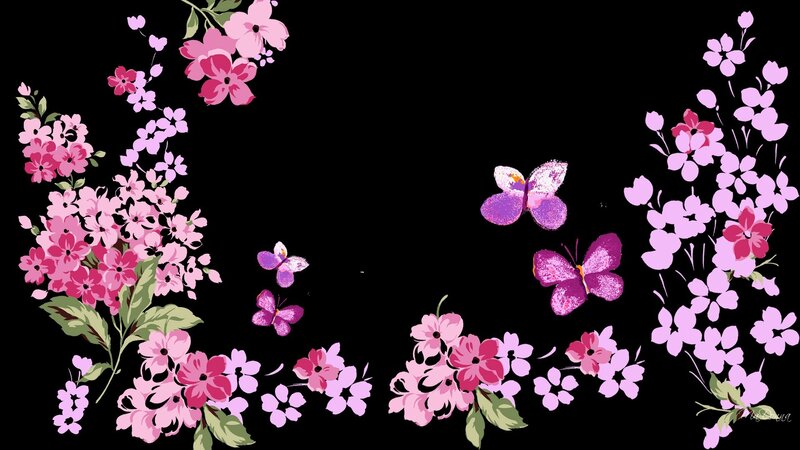 Pink Flowers and Butterflies — Calm