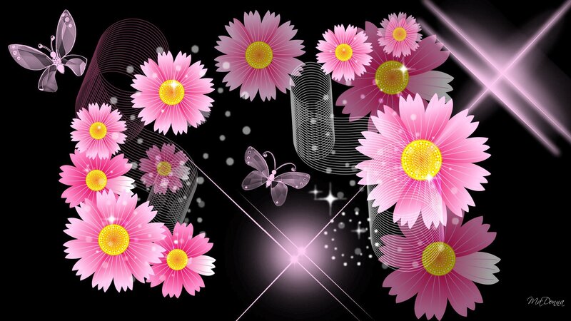 Pink Flowers and Butterflies — Dreamy, Night