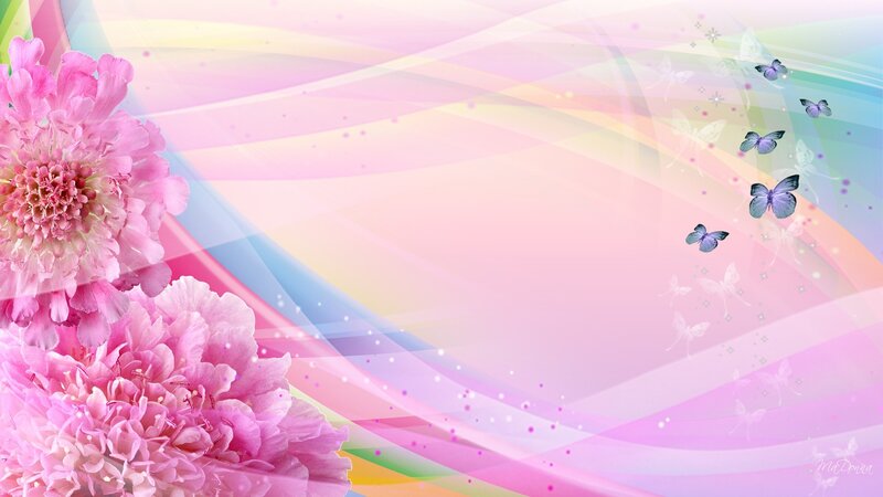 Pink Flowers and Butterflies — Dreamy