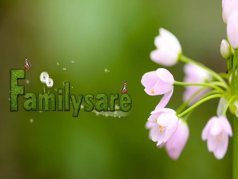 Pink Flowers and Butterflies — Green