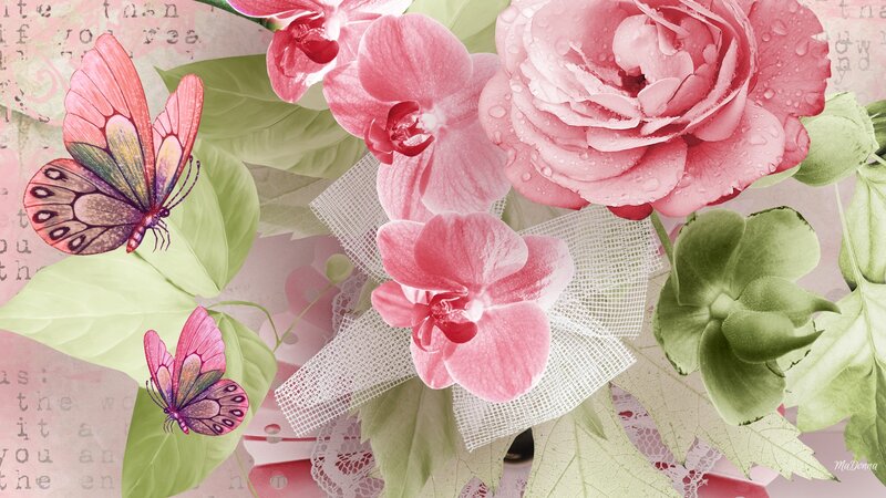 Pink Flowers and Butterflies — Serene, Digital Art, Leaves