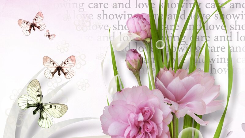 Pink Flowers and Butterflies — Serene, Illustration