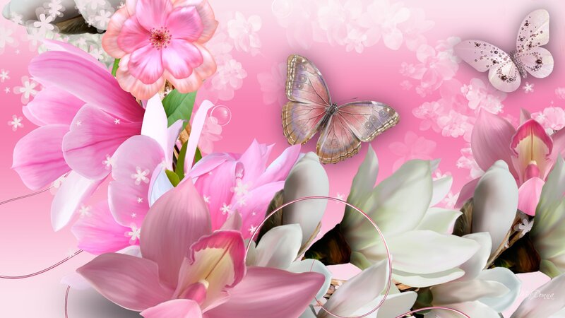Pink Flowers and Butterflies — Serene, Spring, Digital Art