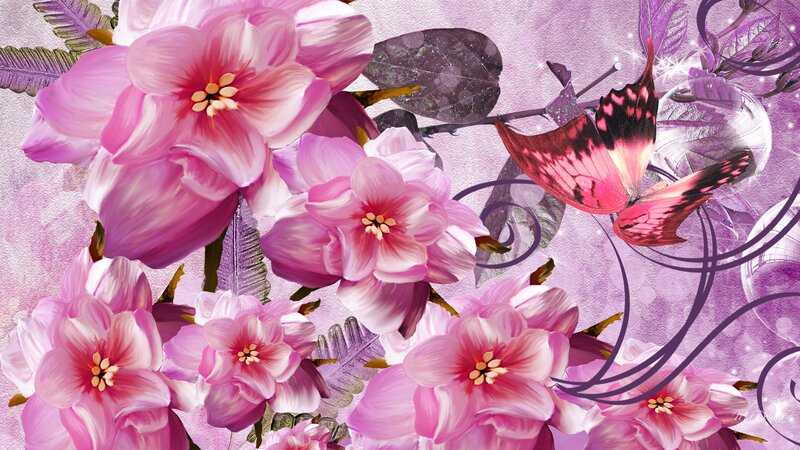 Pink Flowers and Butterfly