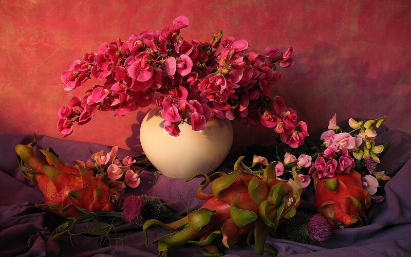 Pink Flowers and Dragon Fruits
