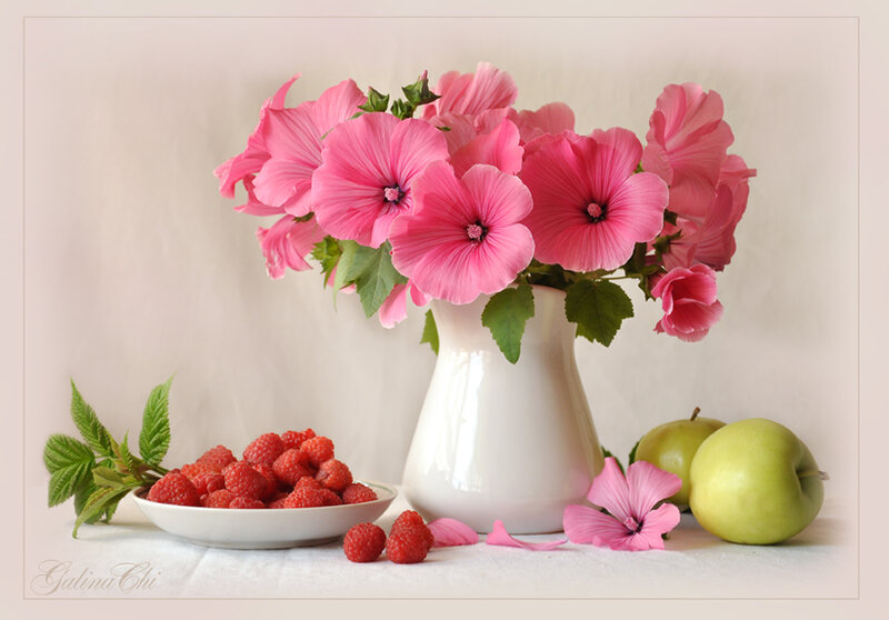 Pink flowers and fruit still life