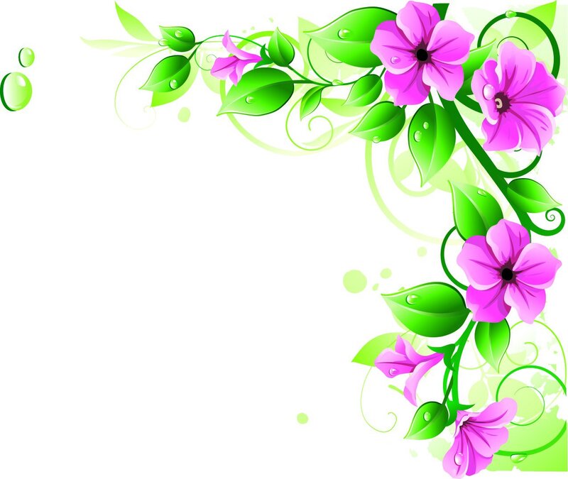 Pink Flowers and Green Leaves — Fresh