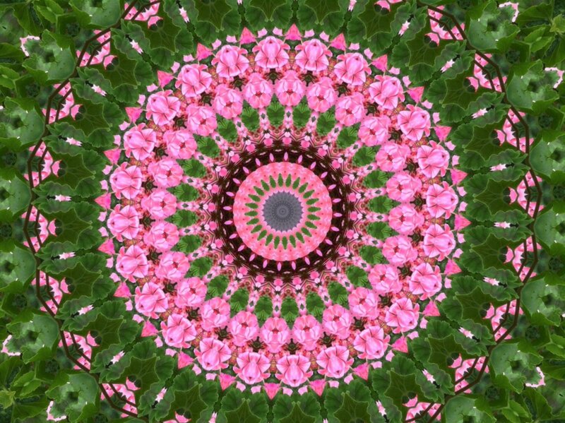Pink Flowers and Green Leaves — Symmetrical