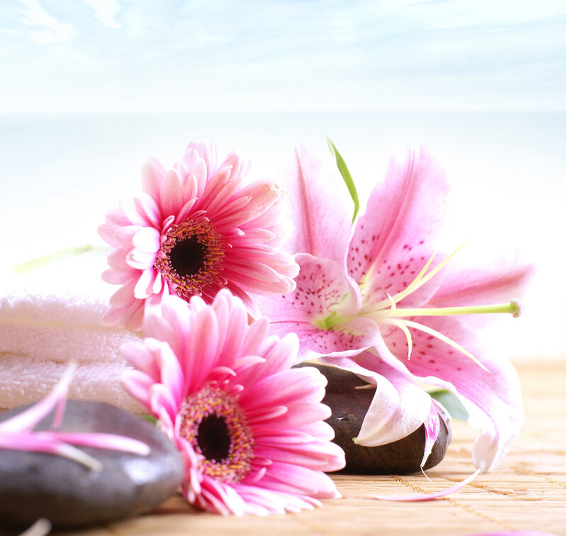 Pink Flowers and Stones