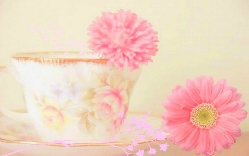 Pink Flowers and Teacup — Serene