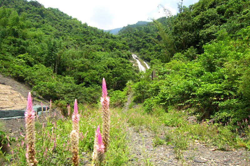 Pink Flowers and Waterfall