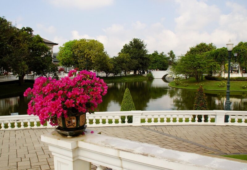 Pink Flowers by Pond — Serene