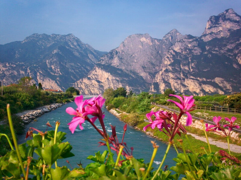 Pink Flowers by River — Blue